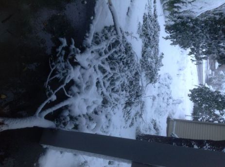 Winter Storm Atlas